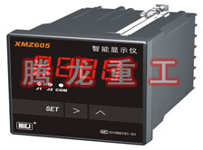 溫度表、數(shù)字顯示儀、濕度表